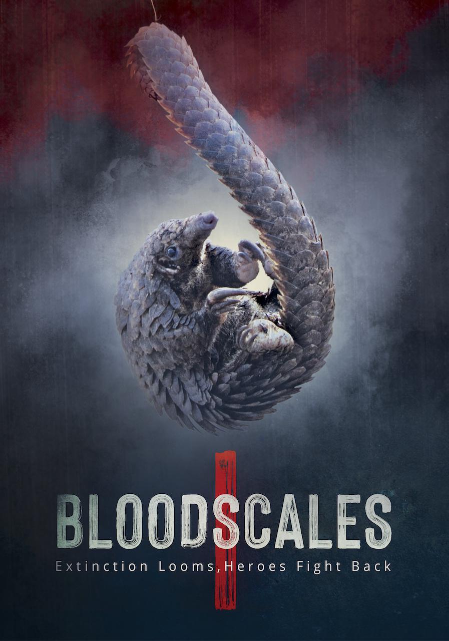Blood Scales